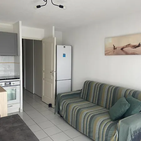 T2 3 Etoiles Clim Piscine Garage * Le Grau-du-Roi