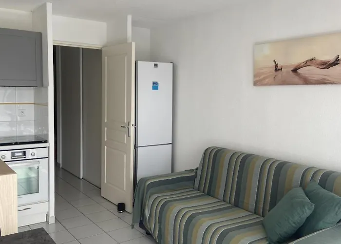 T2 3 Etoiles Clim Piscine Garage * Le Grau-du-Roi